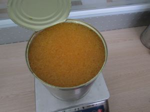 Ein 10 3 kg Mandarinorange-Beutel in hellem Sirup