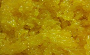 Mandarin Orange Sacs für Fruchtmarmelade